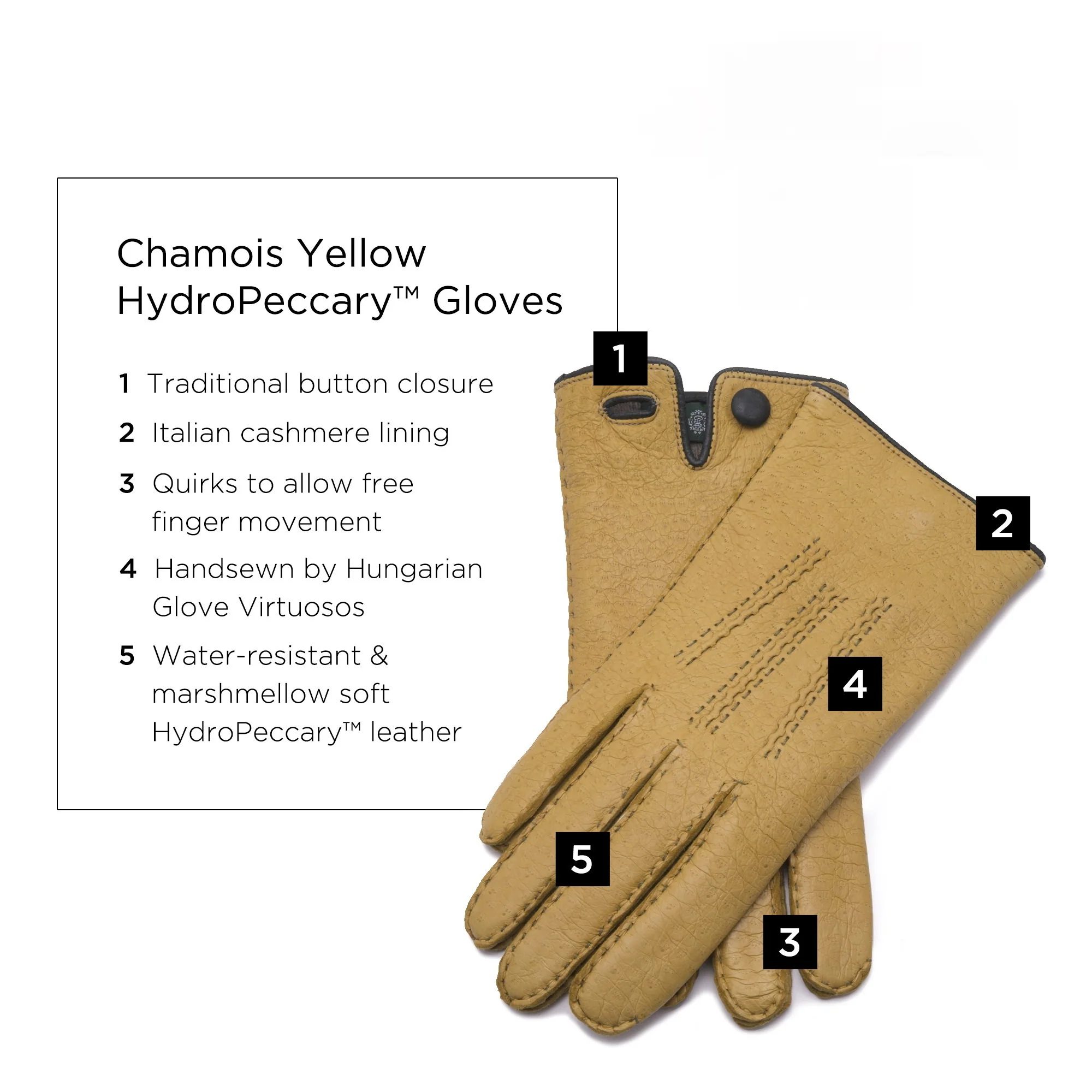 Chamois Yellow Cashmere Lined Peccary Gloves - Image 3
