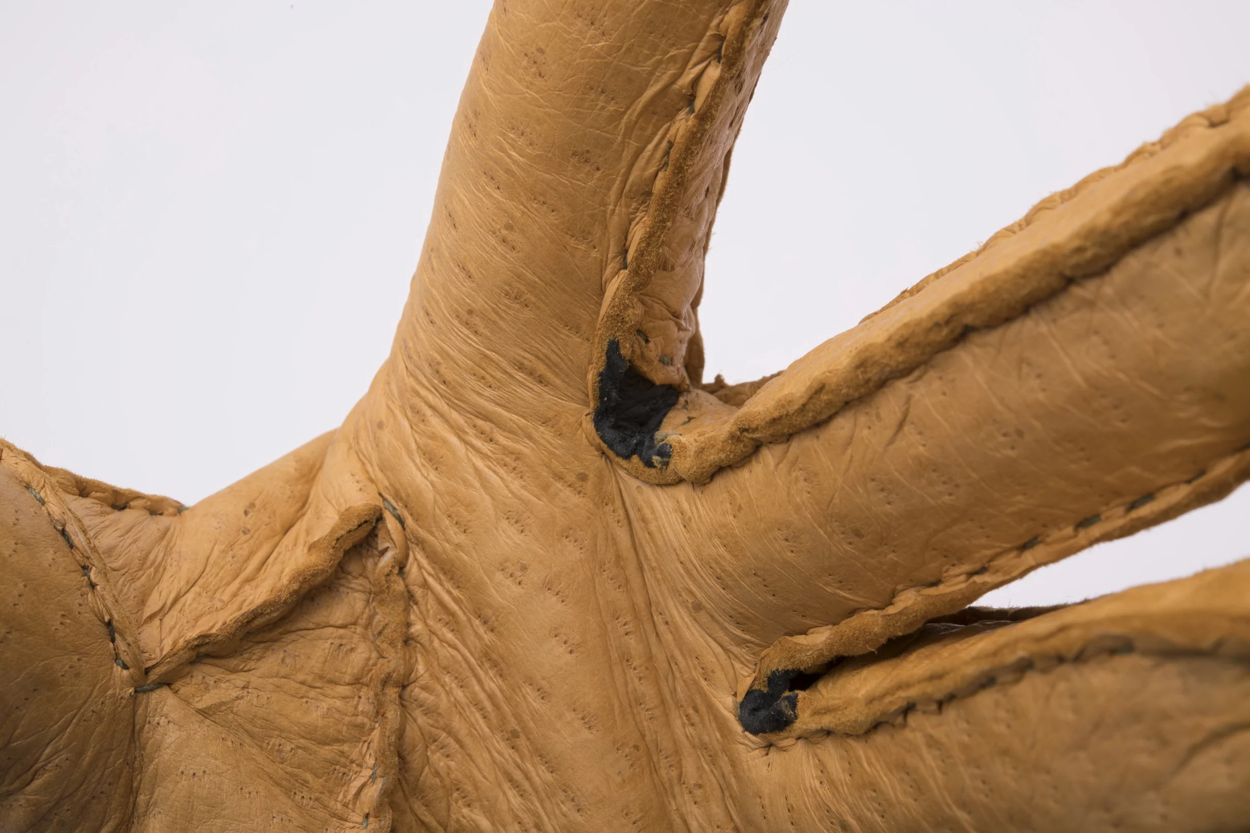 Chamois Yellow Cashmere Lined Peccary Gloves - Image 6